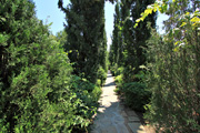 Сад на Северном Кипре