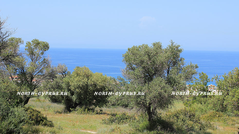 Участок земли возле элитного гольф-клуба на Северном Кипре